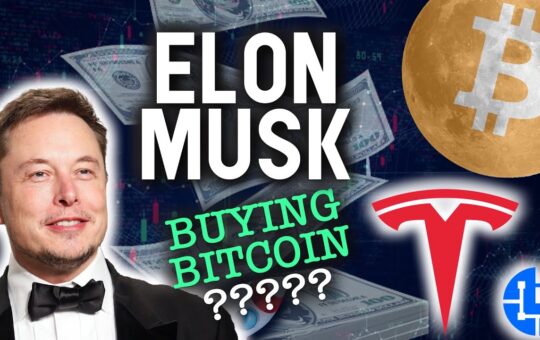 Elon Musk Buying Bitcoin Congress On Verge Of 1 Trillion