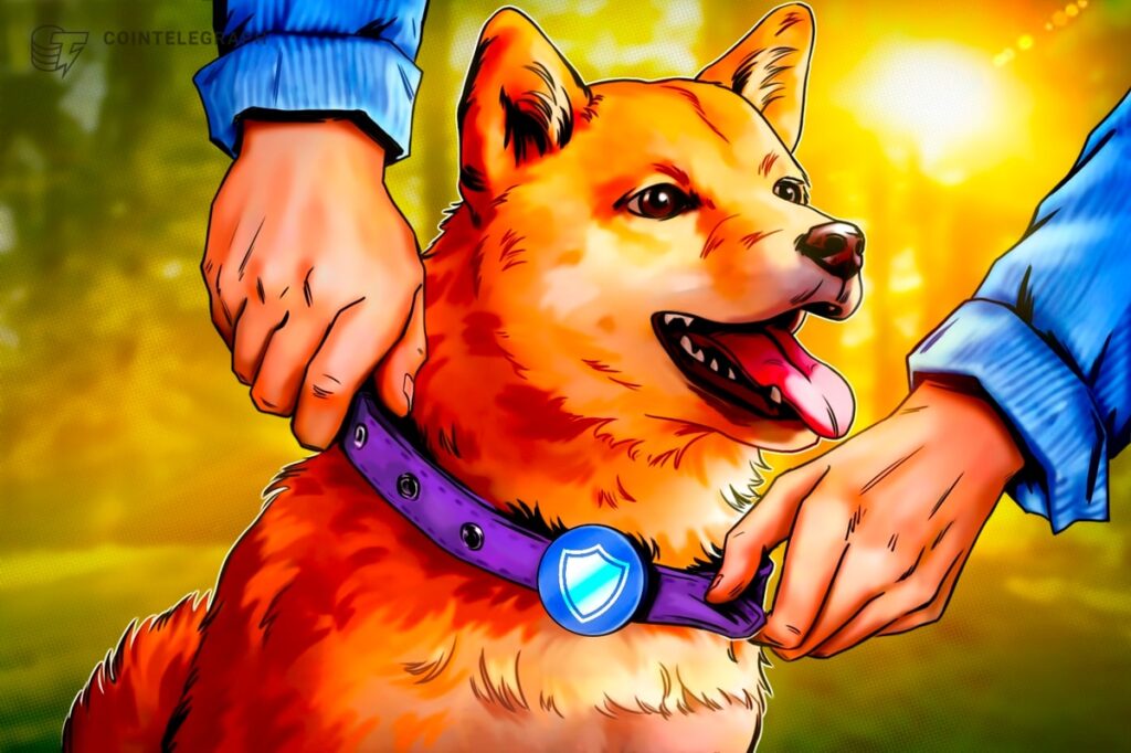 Security Update To Dogecoin Core On The Horizon