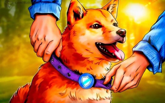 Security Update To Dogecoin Core On The Horizon