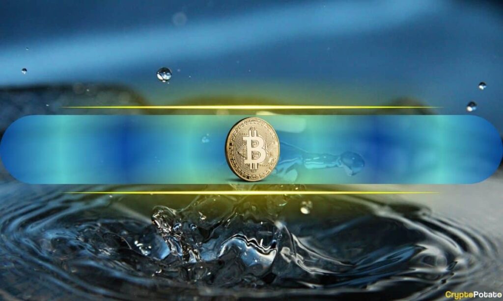 Bitcoin Emerges As Key 'Liquidity Barometer', Matches Global Money Supply Trends: Study