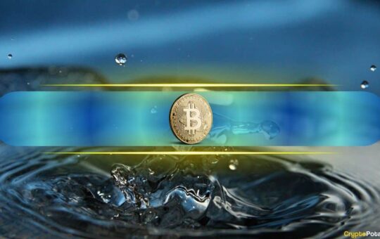 Bitcoin Emerges As Key 'Liquidity Barometer', Matches Global Money Supply Trends: Study