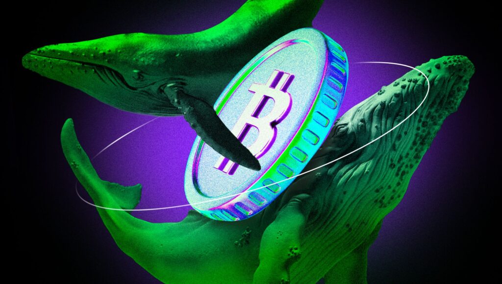 Crypto Whales Continue To Buy The Dip, Scooping Up $227 Million In Bitcoin