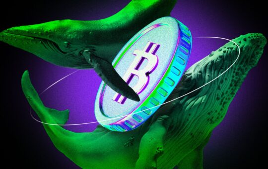 Crypto Whales Continue To Buy The Dip, Scooping Up $227 Million In Bitcoin