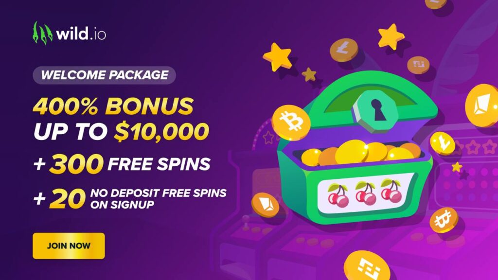 Join The Wild Casino Experience For A Mega Win