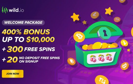 Join The Wild Casino Experience For A Mega Win