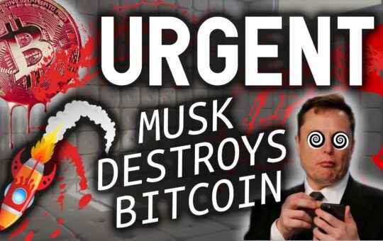 Urgent Elon Musk Just Destroyed Bitcoin