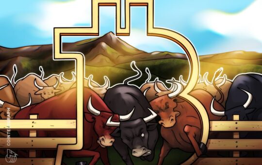 The Next Chapter Of The Bull Run Is 'About' Bitcoin, Not Eth Or Memecoins - Analyst