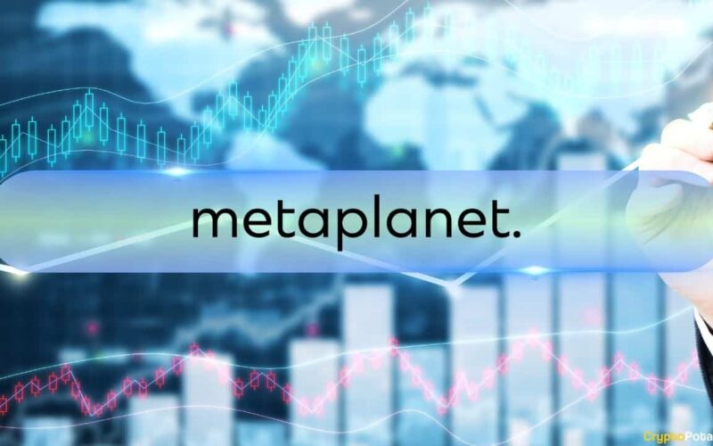 Metaplaastnet Protects Courageous Snacks