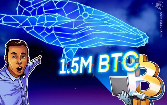 Btc Price Gets 'On The Horizon' As Bitcoin Whales Buy 1.5M Btc - Analysis