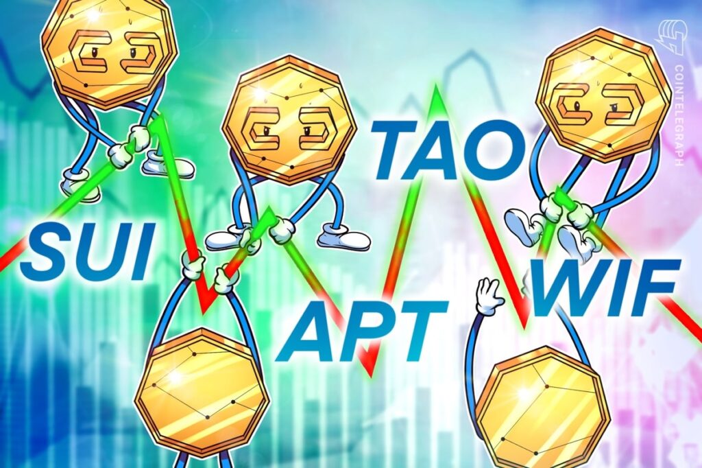 Bitcoin Volatility Can Lead Investors To Sui, Apt, Tao And Wif.