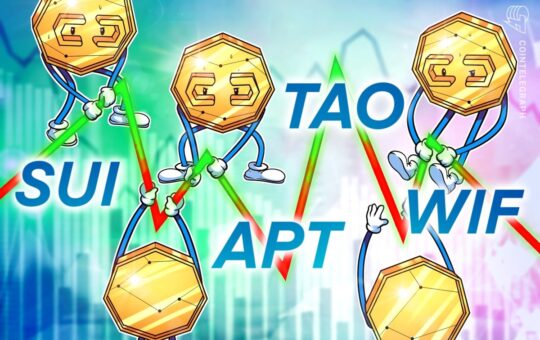 Bitcoin Volatility Can Lead Investors To Sui, Apt, Tao And Wif.