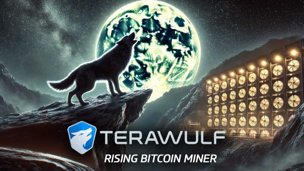 Terawulf: An Overview Of The Rising Bitcoin Mining Industry In 2024