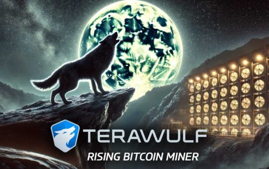 Terawulf: An Overview Of The Rising Bitcoin Mining Industry In 2024