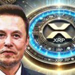 Tesla CEO Elon Musk has highlighted the potential of XRP and the heat of Crypto