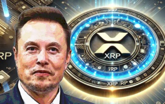 Tesla CEO Elon Musk has highlighted the potential of XRP and the heat of Crypto