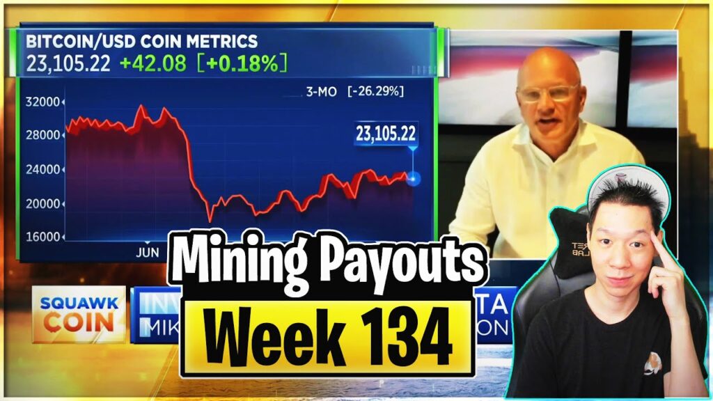 Weekly Mining Payouts 8822 Week 134