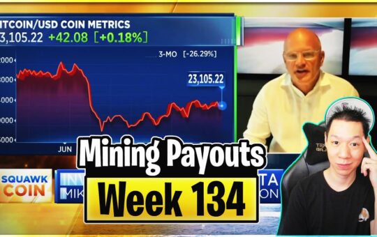 Weekly Mining Payouts 8822 Week 134