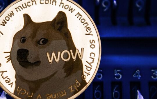 A Bitcoin Strategic Reserve Could Happen. Why Not Dogecoin, Says The Co-Founder