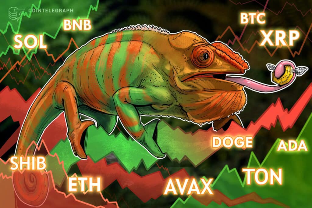 Btc, Eth, Sol, Bnb, Xrp, Doge, Ada, Avax, Ton, Shib