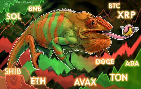 BTC, ETH, SOL, BNB, XRP, DOGE, ADA, AVAX, TON, SHIB