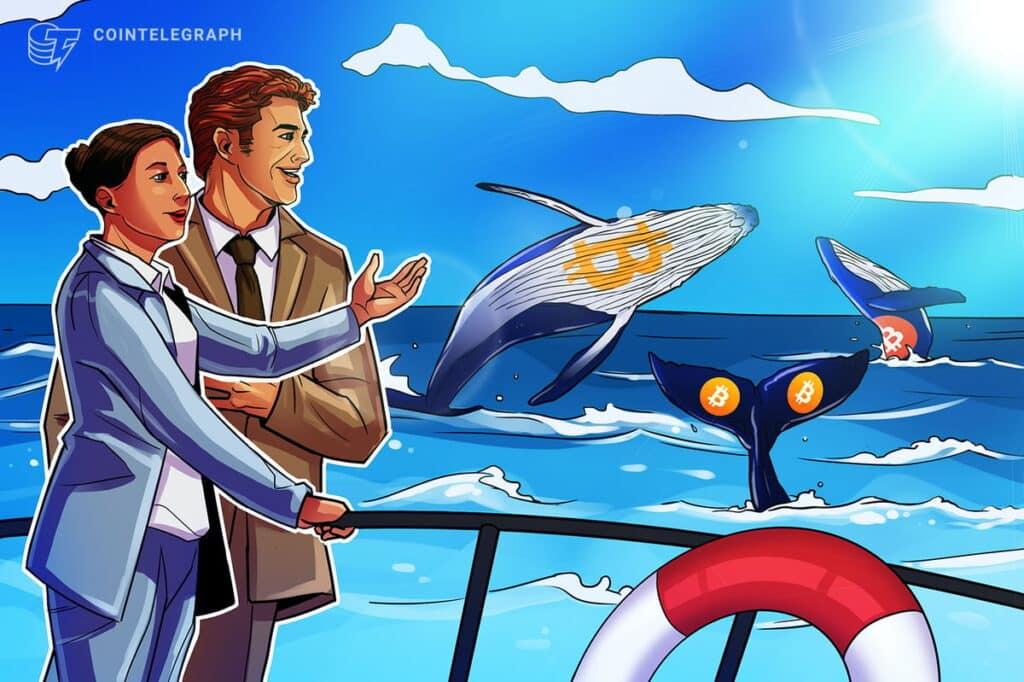 Bitcoin whale 'takes advantage' of $90k BTC price plunge, making $1.5 billion