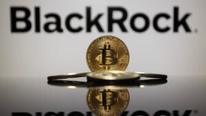 Blackrock Exec Demystifies Bitcoin: 'It'S Not An Asset At Risk'