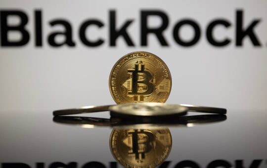 Blackrock Exec Demystifies Bitcoin: 'It'S Not An Asset At Risk'