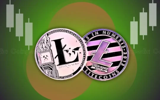 Litecoin’s (LTC) Make or Break Moment, Insights From On-Chain Data