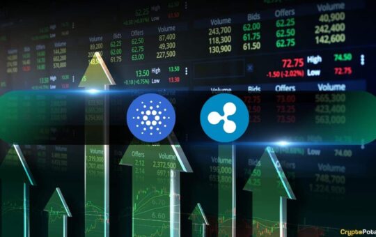 Cardano (ADA) and Ripple (XRP) Lead Altcoin Gains as Bitcoin Flirts $100K