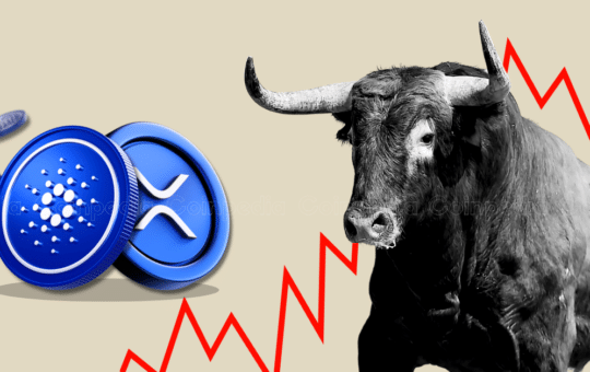 Will Xrp And Cardano Price Hit $1 This Crypto Bull Run