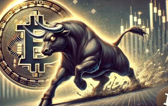 Crypto Bull Market Arrives: Analysts Say 'Buy All You Can'