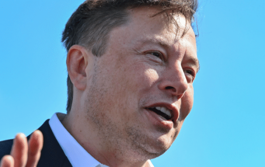 Elon Musk Denies Having Talks With Donald Trump About Crypto