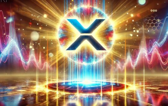 What'S Next For Xrp? Ripple'S Ceo Discusses The Changing Landscape Of Crypto