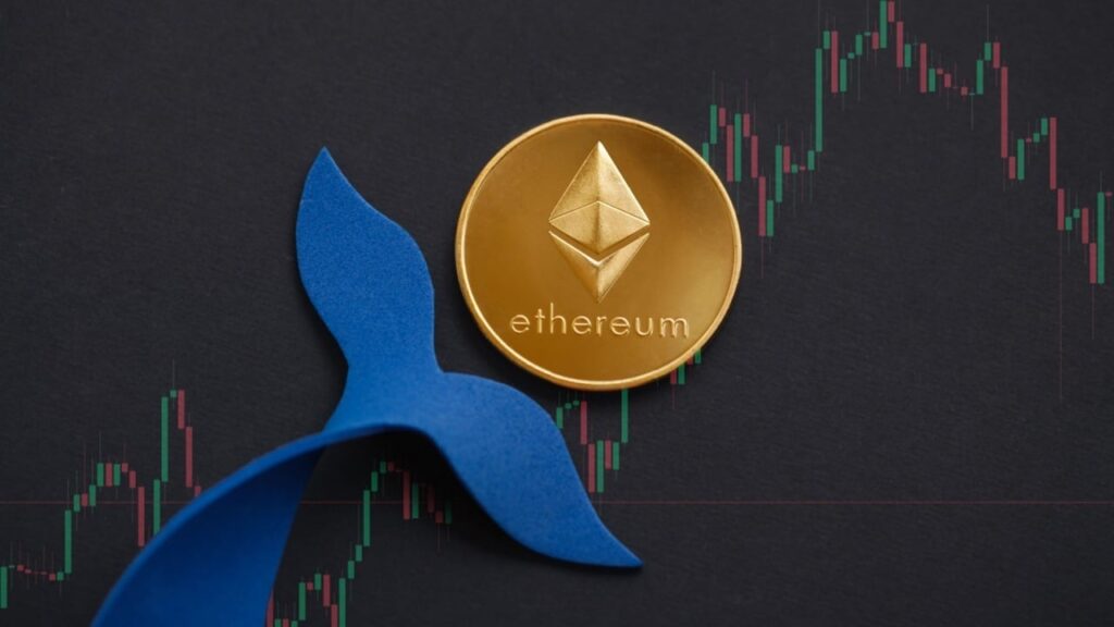 104 Whales Hold 57.35% of Ethereum: Sentiment Analysis