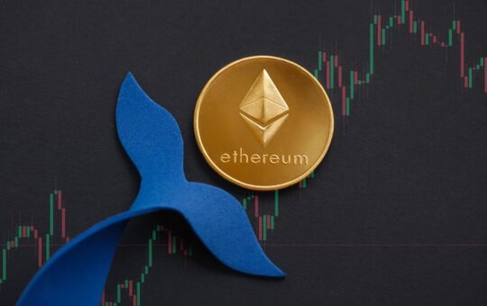 104 Whales Hold 57.35% of Ethereum: Sentiment Analysis