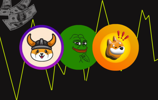 PEPE, FLOKI, BONK Price Analysis Hints A Bull Run