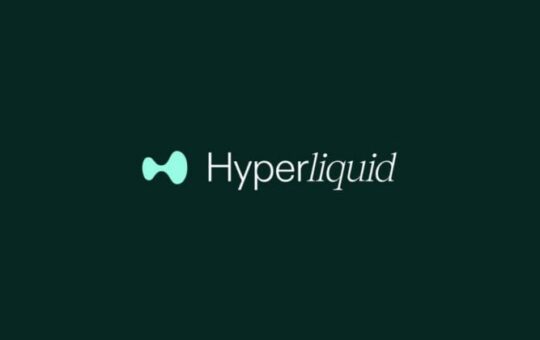 Hypeliquid's HYPE token has soared past the $10 billion market cap.