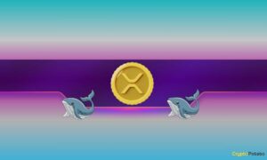 Ripple, Dogecoin Whales buy the dip as XRP, DOGE prices rise