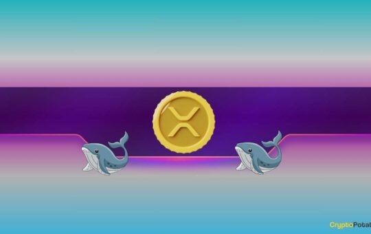 Ripple, Dogecoin Whales buy the dip as XRP, DOGE prices rise