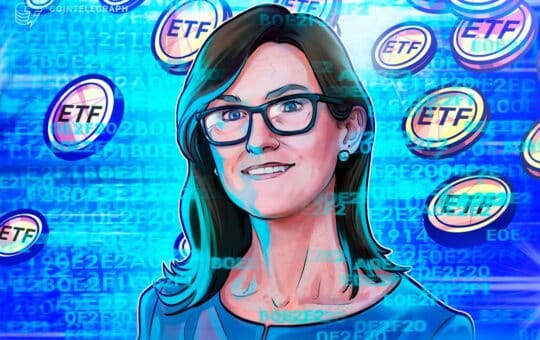 Trump, Doge, Bonk Likely To Approve Etf, But Cathy Wood Won'T Invest: Finance Redefined