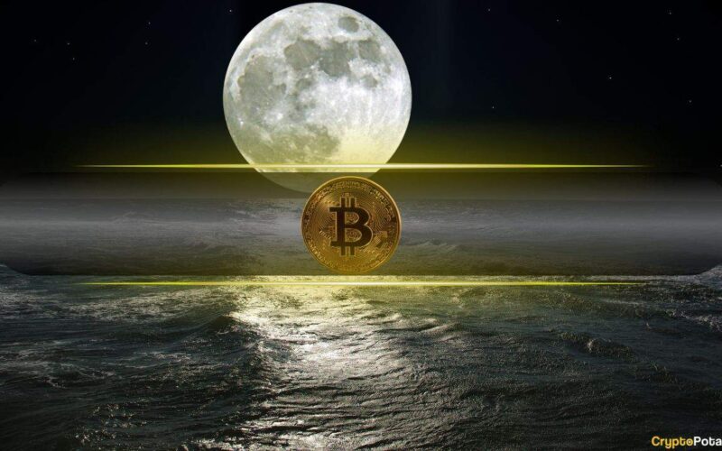 Bitcoin Up To 175 Kg Analyst Mission Mission Says: 'They Said That It'S Like A Rock.