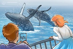 Bitcoin whales have added 34K BTC since December: analyst