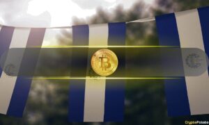 Despite the IMF agreement, El Salvador bought 12 BTC