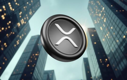 Analysts Believe Xrp And Rxs Could Lead The Way In The Next Bullrun