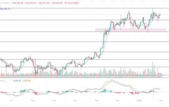 For February 2025 For Caticon, Ethermum, &Amp; Print Forecast!