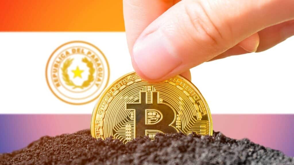 To The End Of 2025, The Main Digital Paraguer Purchase Of The Bitccoin