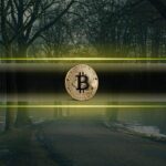 Bitcoin liquidity as the shutdown of the US Govt to move the chain of flights