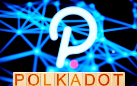 Polkadot