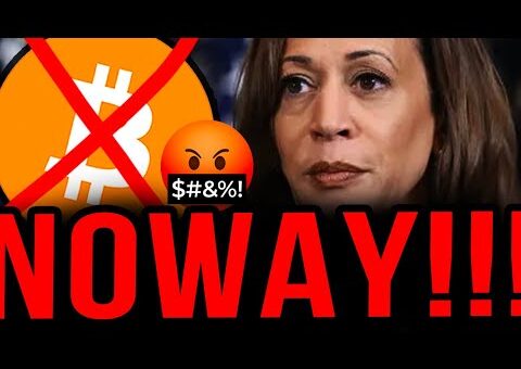 Bitcoin This Is Insane She Is Trying To Destroy Us