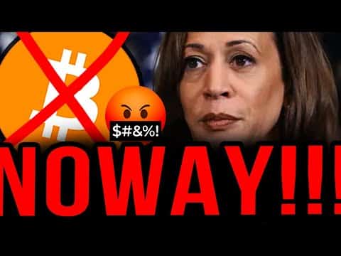 Bitcoin This Is Insane She Is Trying To Destroy Us